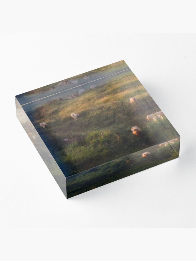 Alternate view of The cows Acrylic Block