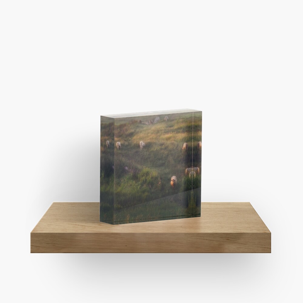 The cows Acrylic Block