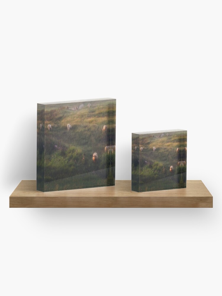 Alternate view of The cows Acrylic Block