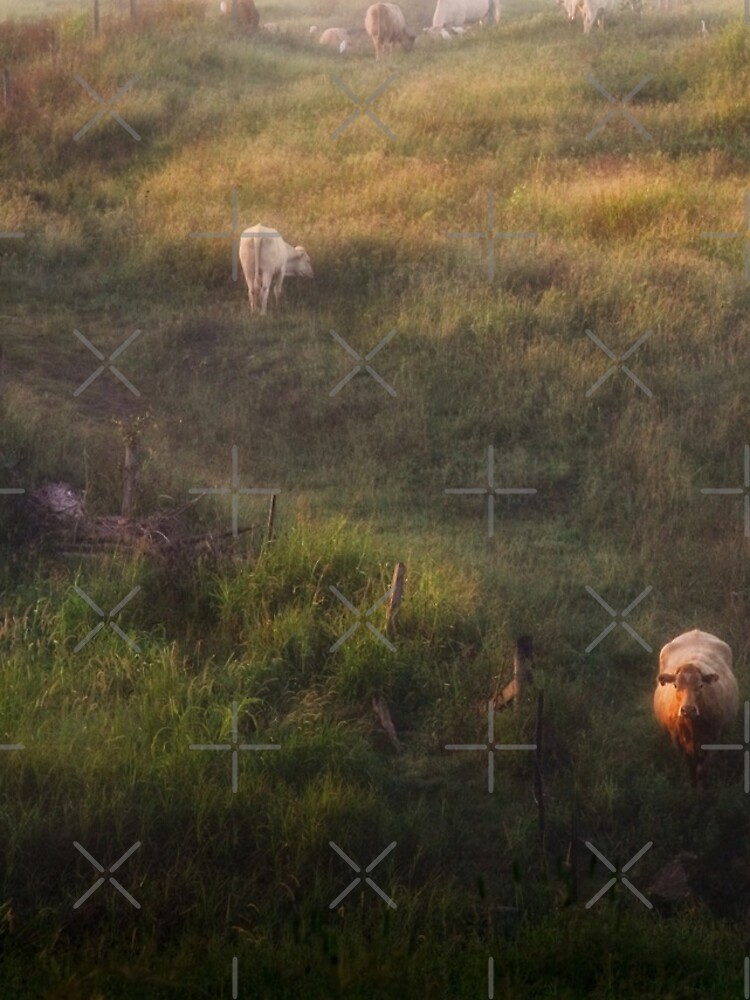 The cows by MelBrackstone