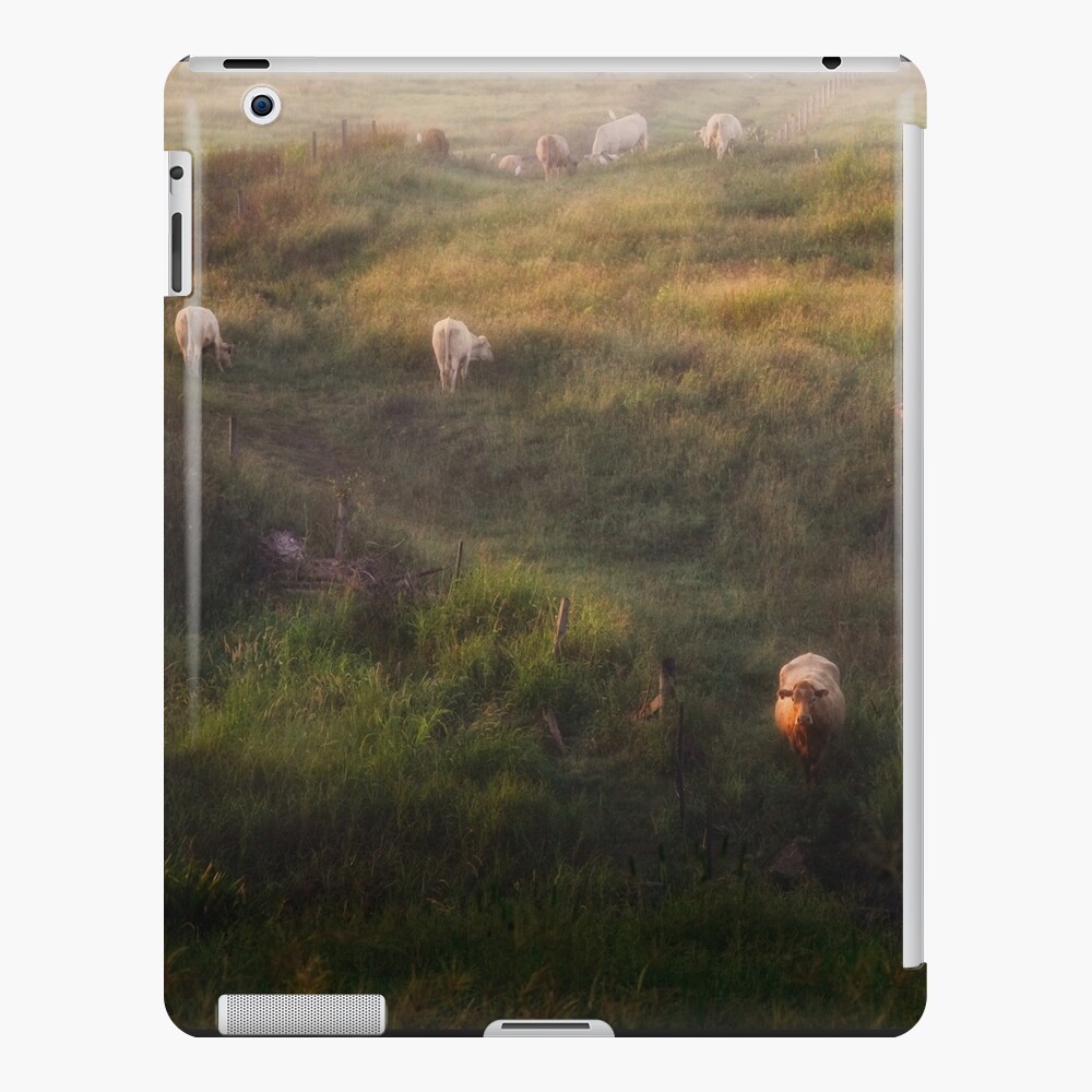 The cows iPad Case & Skin