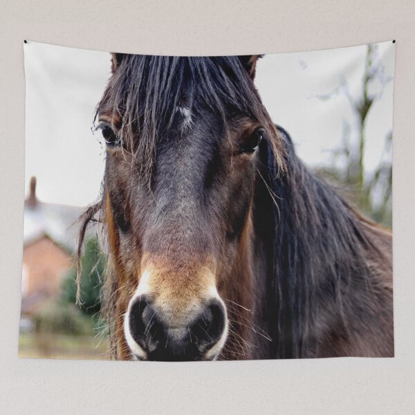 Item preview, Friendly Horse designed and sold by AnnDixon.