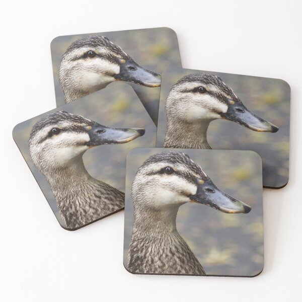 Item preview, Pacific Black Duck designed and sold by Dragonsfield.