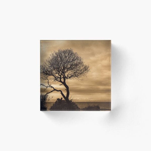 Horizon Acrylic Block