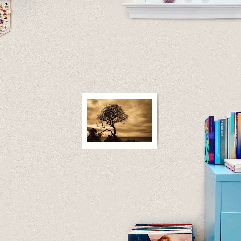 Horizon Art Print