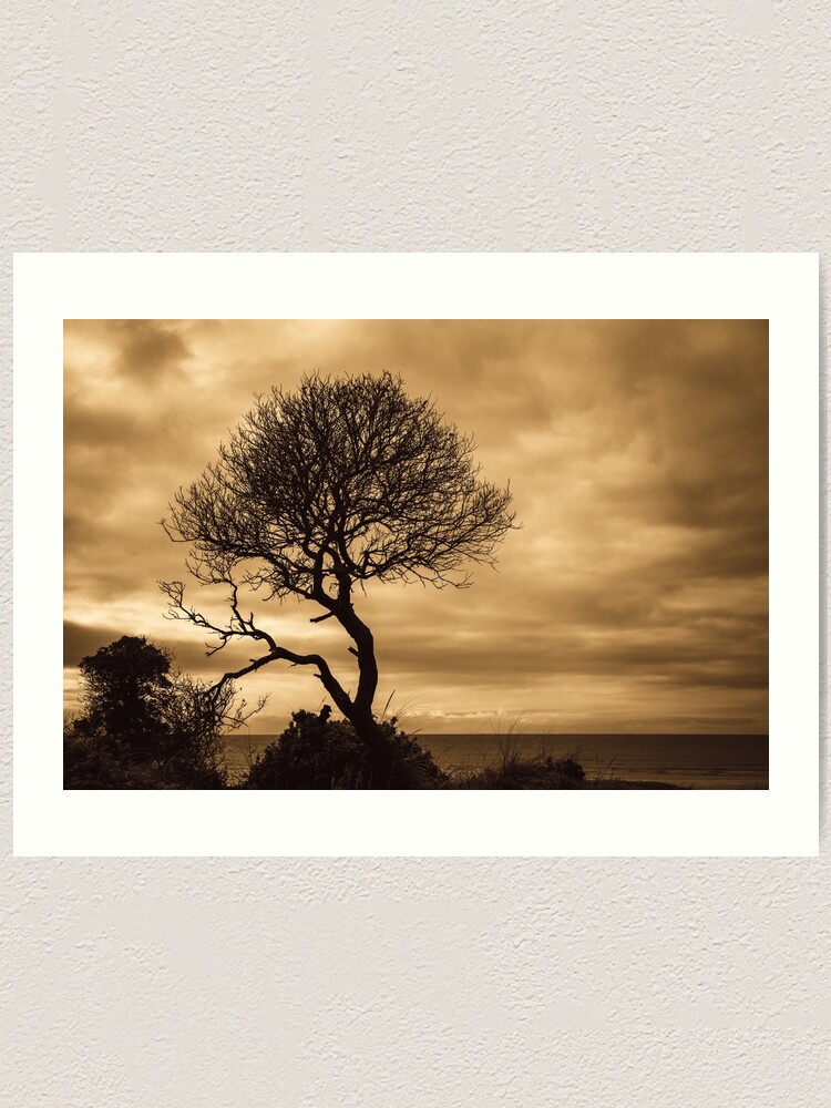 Alternate view of Horizon Art Print