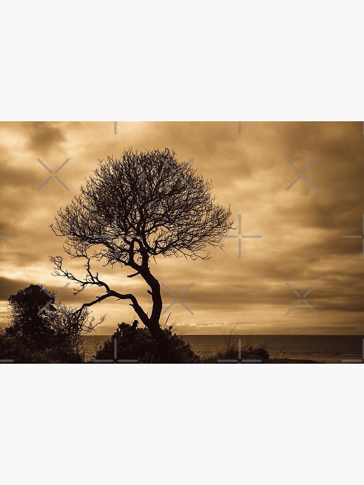 Horizon by MelBrackstone