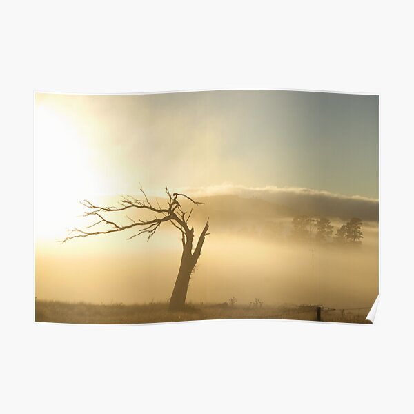 Leaning Poster