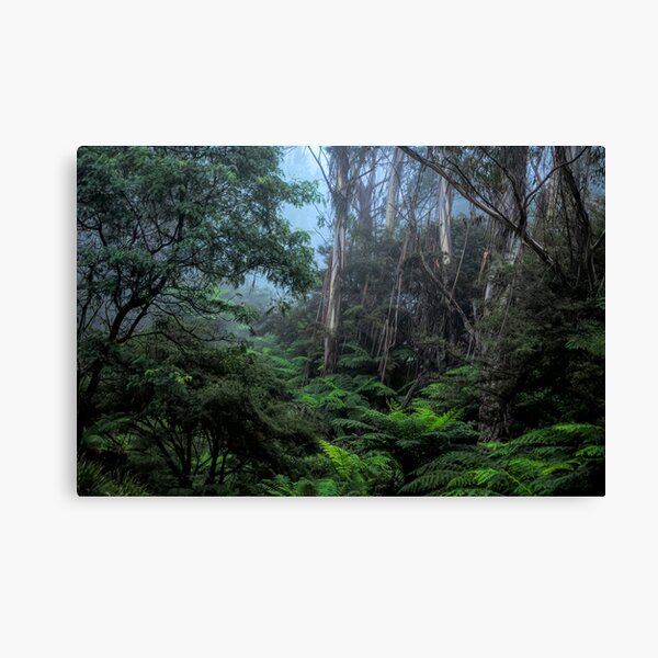 Item preview, Ferns In The Mist  # 3- Leura NSW Australia - Blue Mountains World Heritage Area designed and sold by Salieri1627.