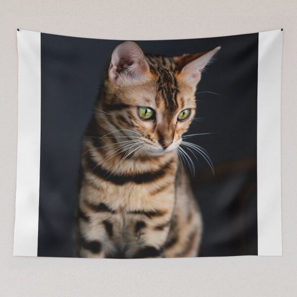 Item preview, Bengal Cat Portrait designed and sold by Nailia Schwarz.