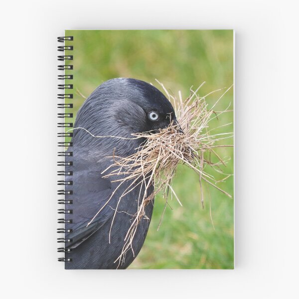 Item preview, Nesting season designed and sold by GreyFeatherPhot.