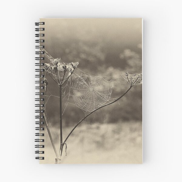 Item preview, Antiqued Web designed and sold by Violaman.