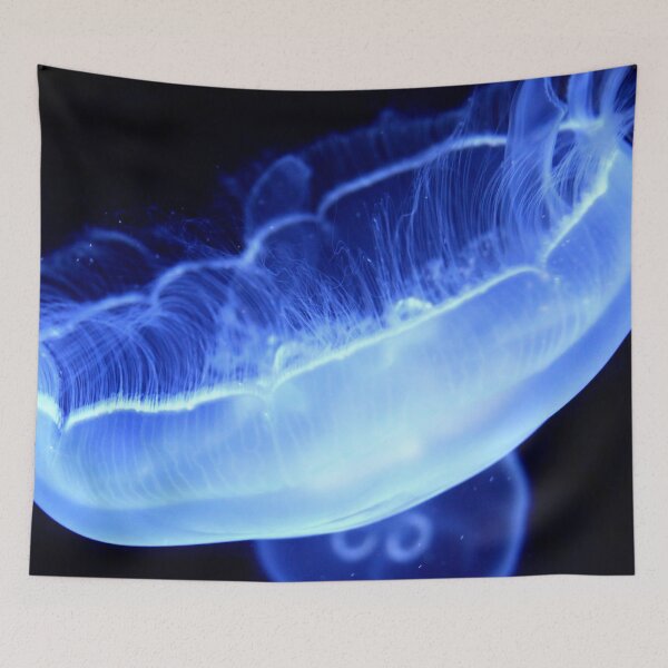 Item preview, Jelly Blue - nature - Animal lovers photography designed and sold by artyfartypants.