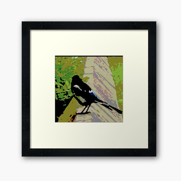Magpie  Framed Art Print