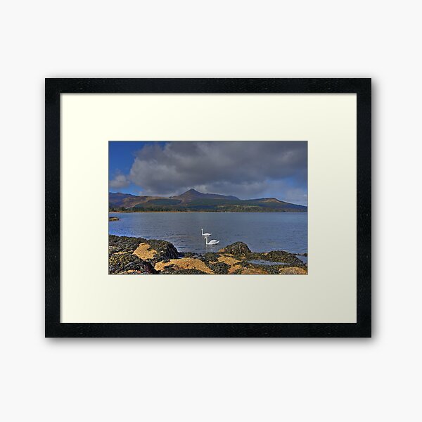 Item preview, Goatfell, Isle of Arran, Scotland designed and sold by AlbaPhotography.