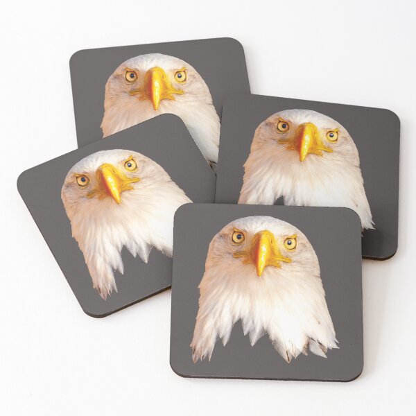 Item preview, Bald Eagle stare designed and sold by Dalyndigital Photography.