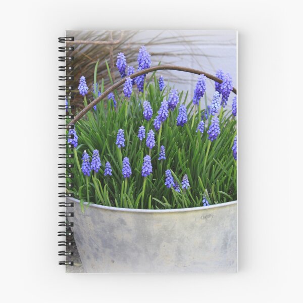 Item preview, Muscari designed and sold by coffeebean.