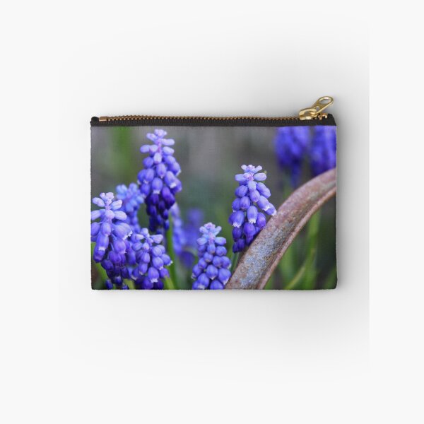 Item preview, Grape Hyacinths designed and sold by coffeebean.