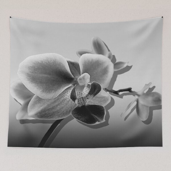 Item preview, Black and White Orchid Flower Contemporary Art A537 designed and sold by byNicol.