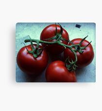 These tomatoes want to become a salad Canvas Print