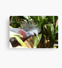 Crown Victoria Canvas Print