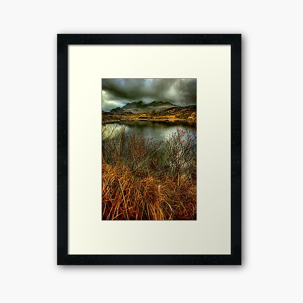 Sligachan Grasses Framed Art Print