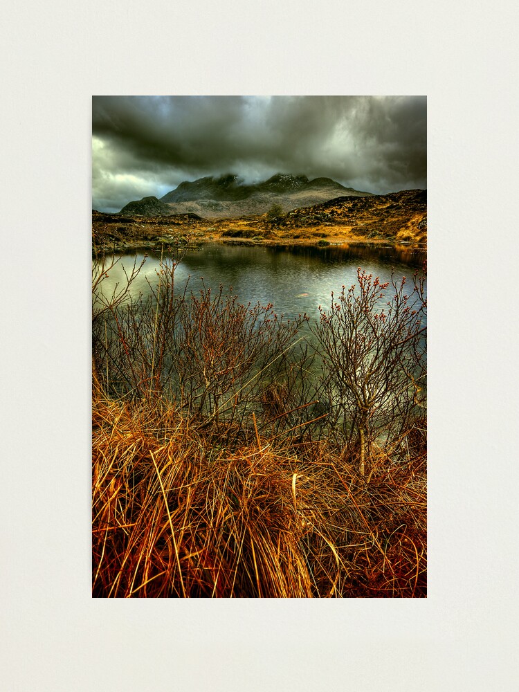 Alternate view of Sligachan Grasses Photographic Print