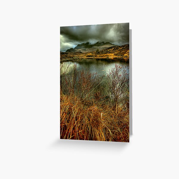 Sligachan Grasses Greeting Card