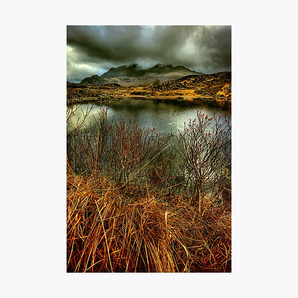 Sligachan Grasses Photographic Print