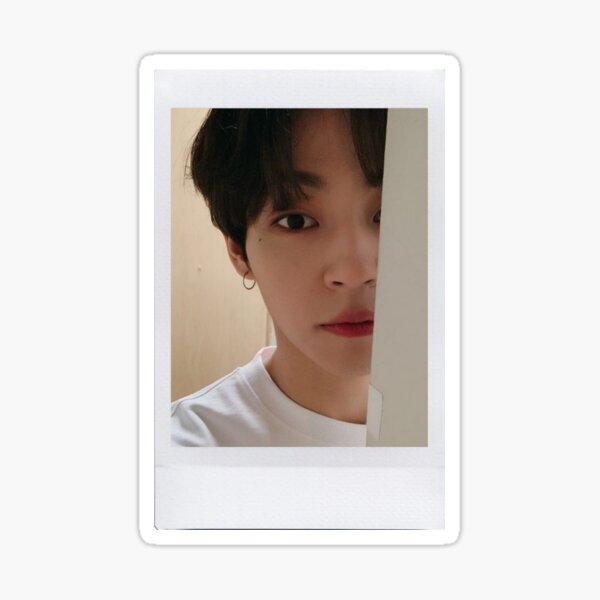 Woosung polaroid Pegatina