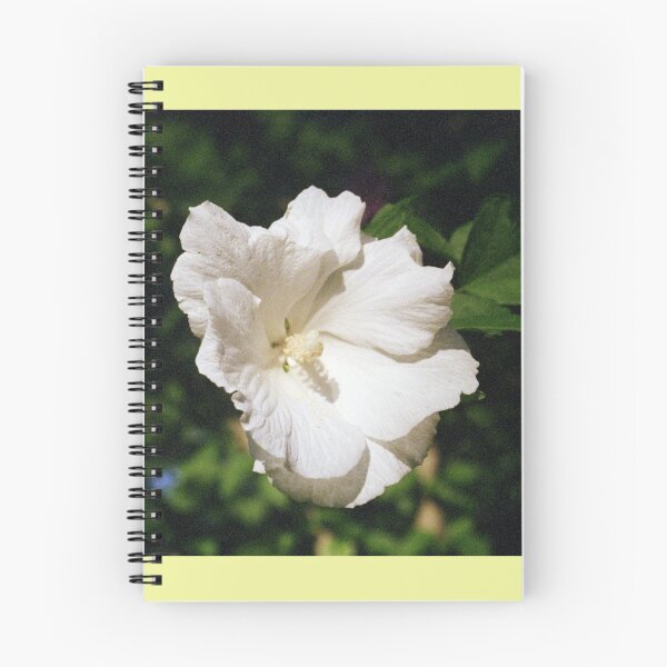 Item preview, Cream Flower designed and sold by Jillian Shoop.