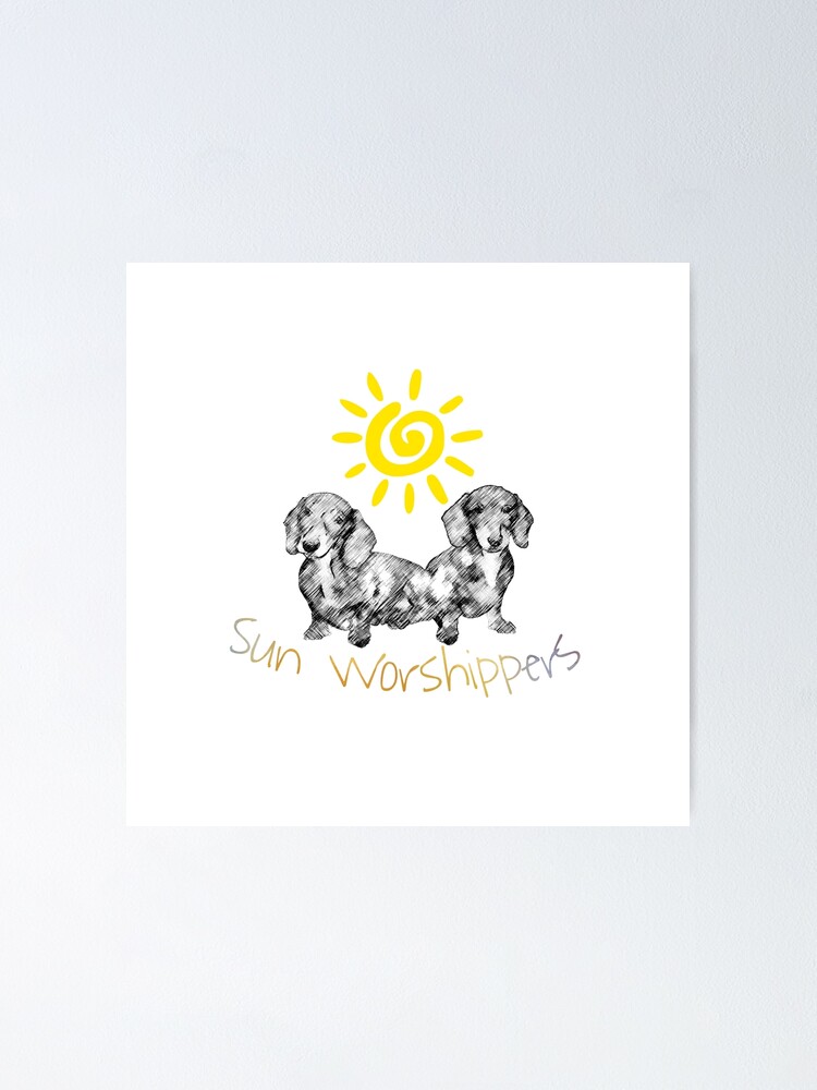 Alternate view of Dachshunds Sun Worshippers Poster