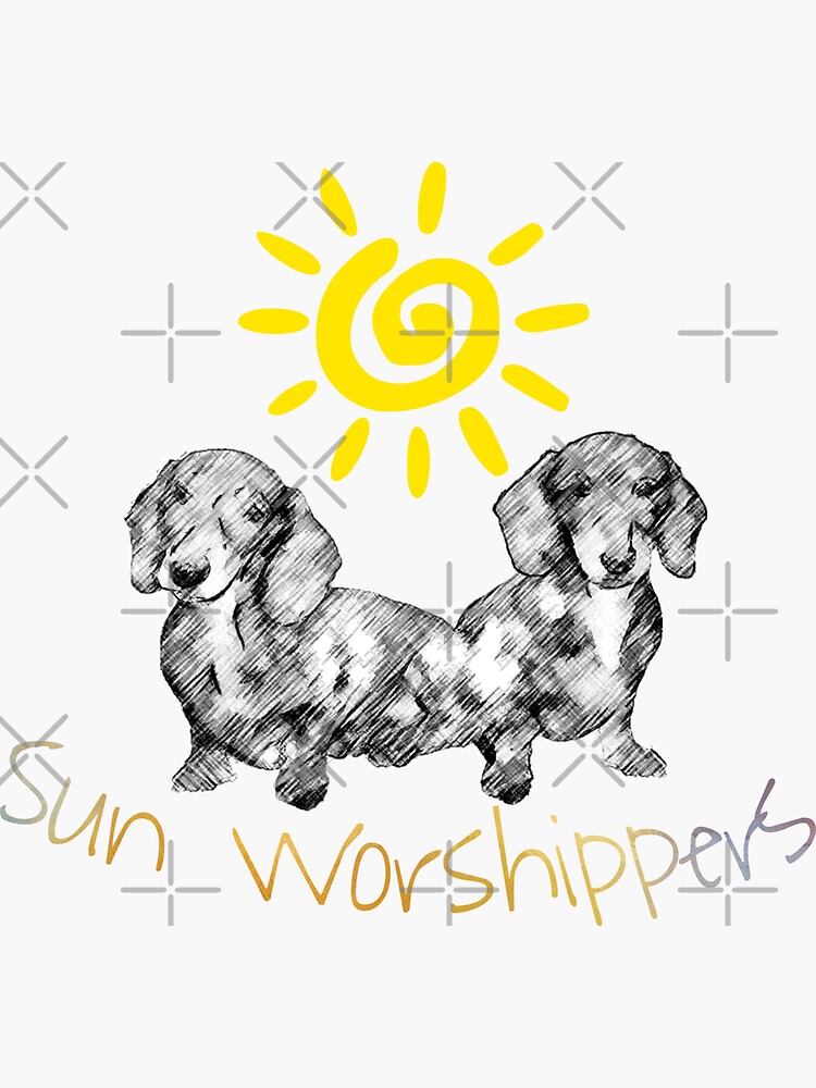 Dachshunds Sun Worshippers by tribbledesign