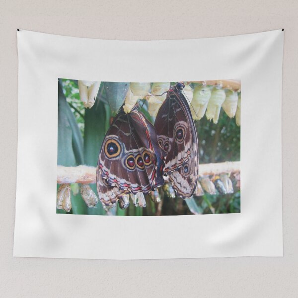 Item preview, Two Butterflies Resting designed and sold by lezvee.