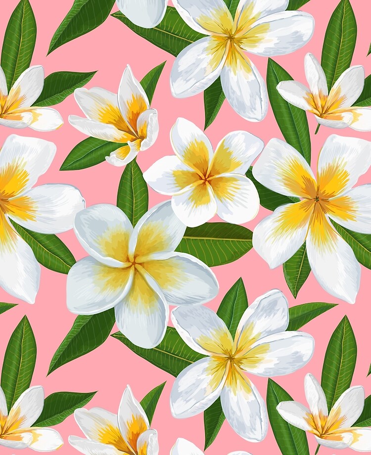 Funda y vinilo para iPad «Patrón de flores de jazmines blancos y amarillos  sobre fondo rosa» de Kanae19 | Redbubble