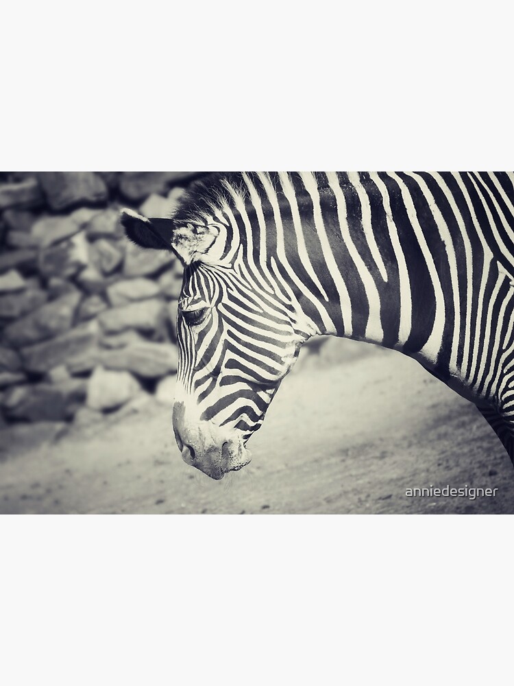 Thumbnail 3 of 3, Photographic Print, Zebra designed and sold by anniedesigner.