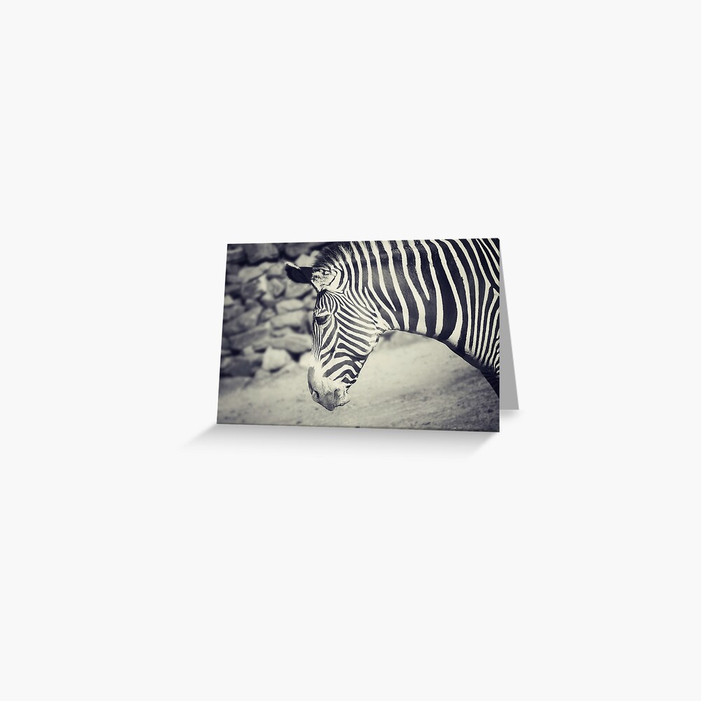 Item preview, Greeting Card designed and sold by anniedesigner.
