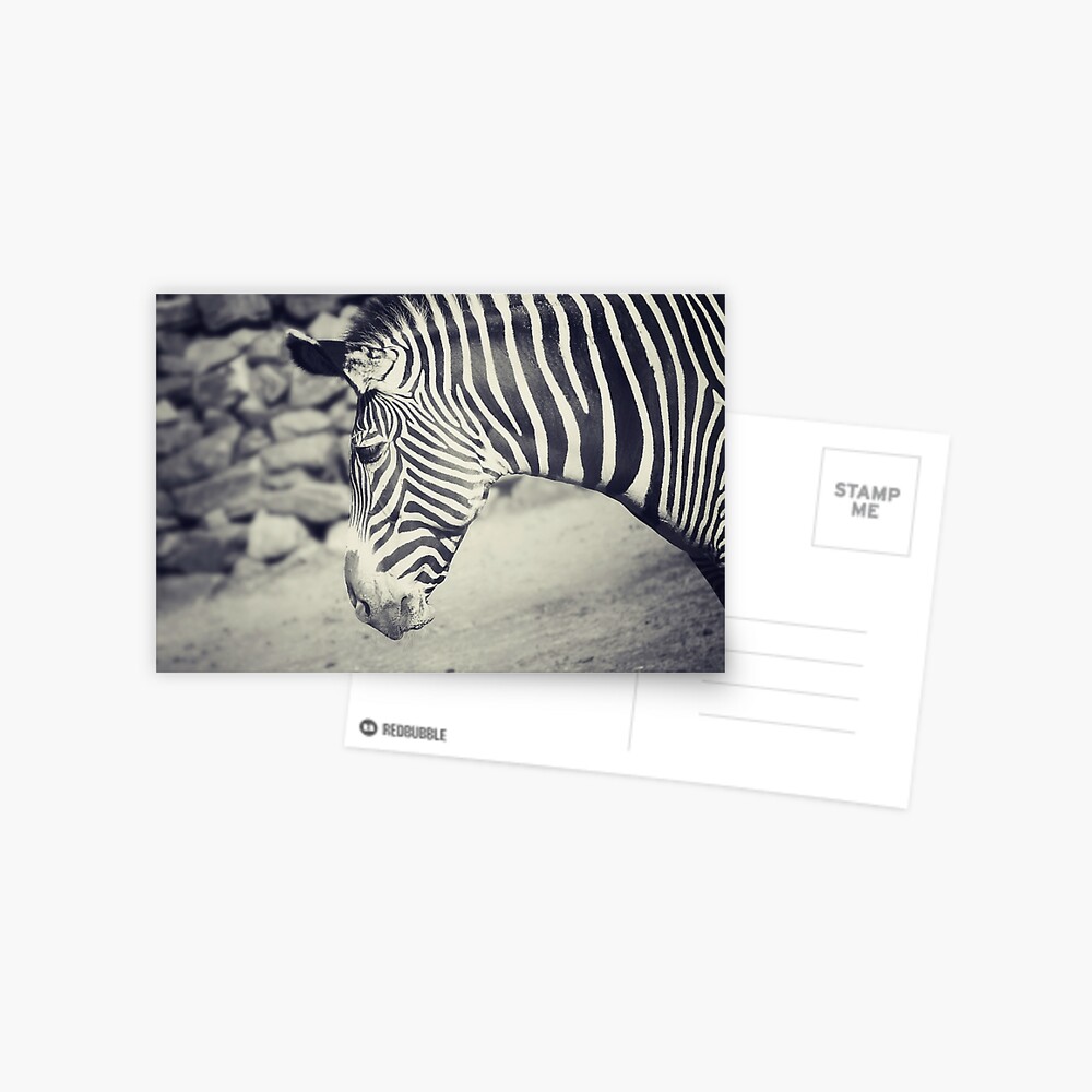 Item preview, Postcard designed and sold by anniedesigner.