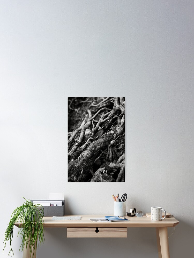 Thumbnail 2 of 3, Poster, Roots designed and sold by anniedesigner.