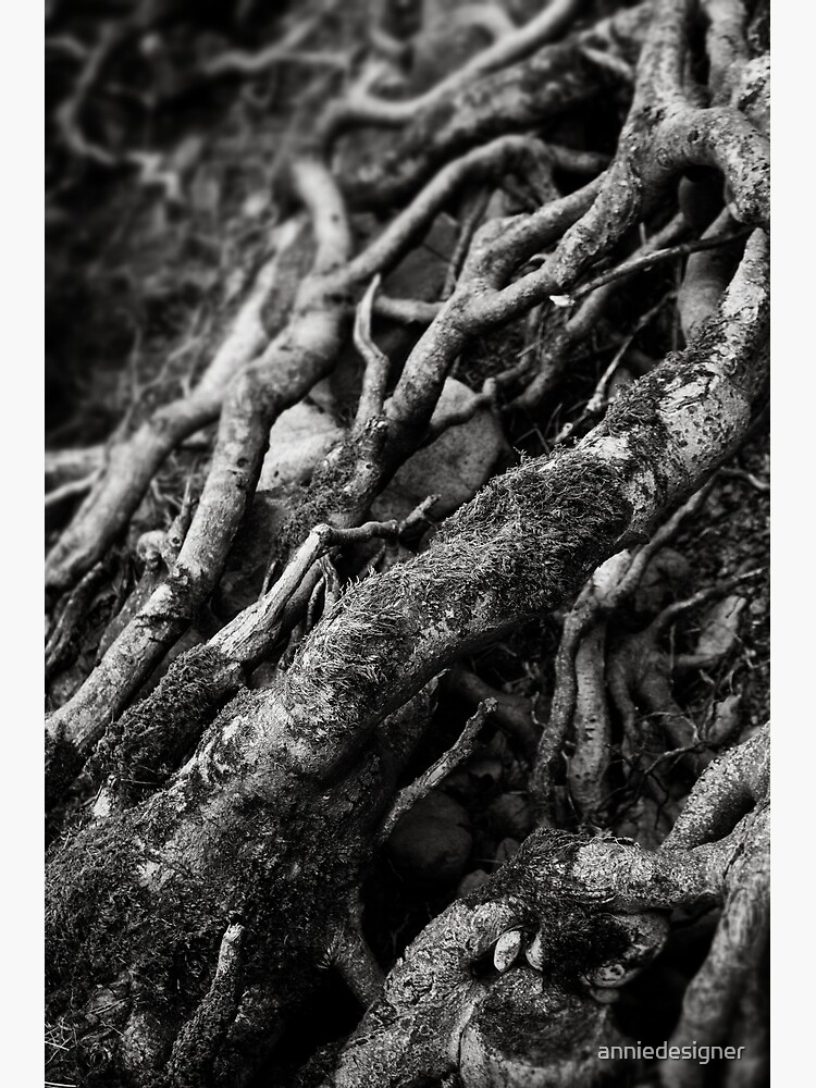 Thumbnail 3 of 3, Poster, Roots designed and sold by anniedesigner.
