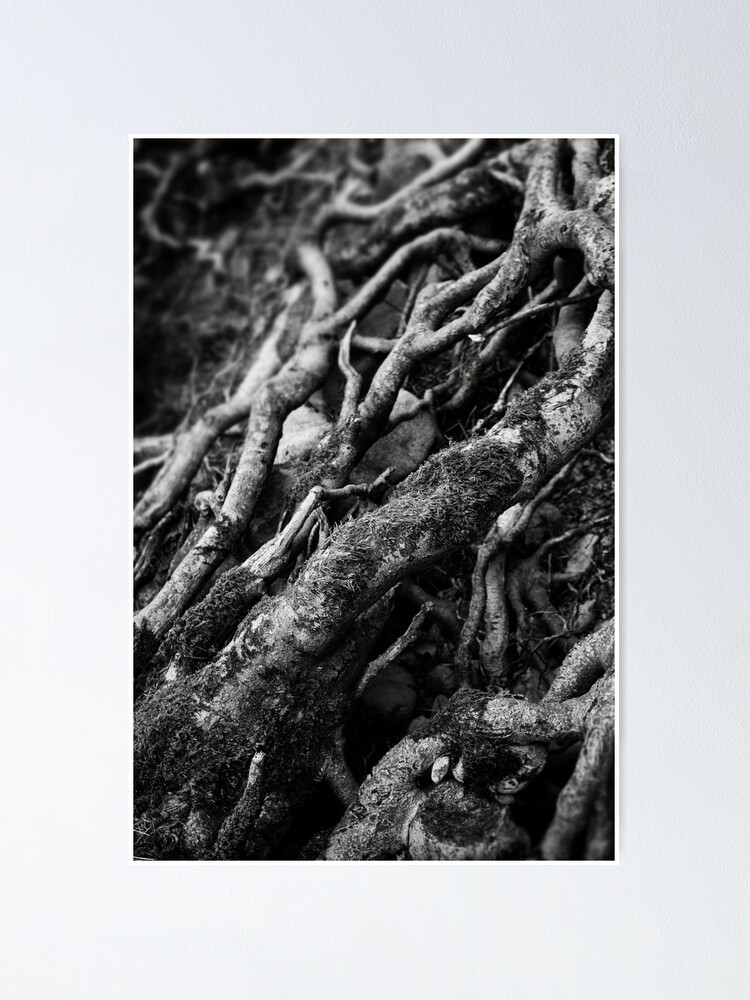 Thumbnail 1 of 3, Poster, Roots designed and sold by anniedesigner.