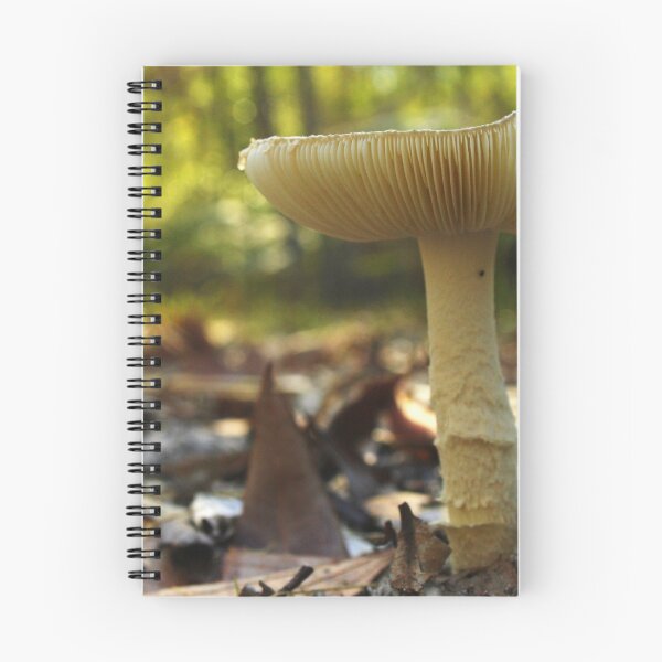Item preview, Cracking Mushroom designed and sold by myraj.