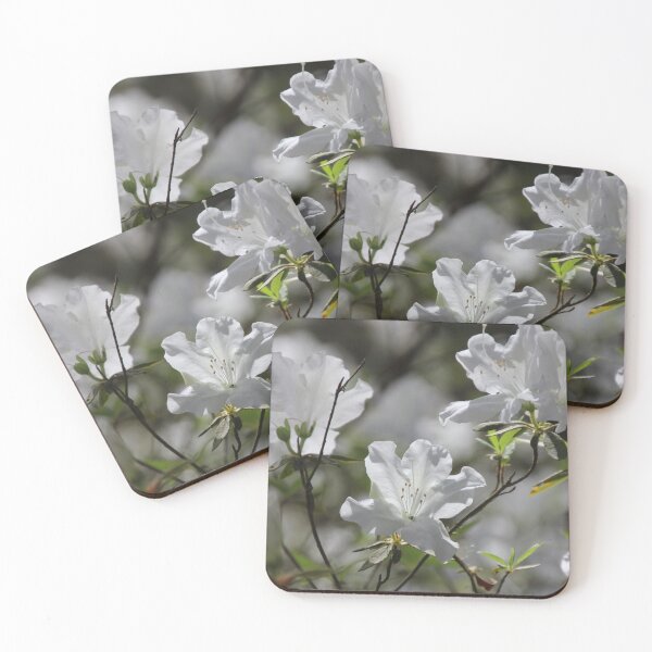 Item preview, White Azaleas designed and sold by Autumn Seas Photography.