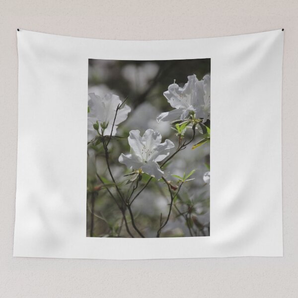 Item preview, White Azaleas designed and sold by Autumn Seas Photography.