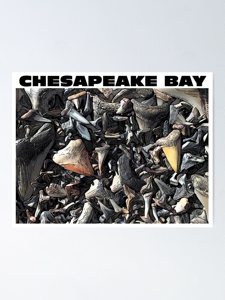 "Chesapeake Bay Sharks Teeth" Poster for Sale by baybranded | Redbubble