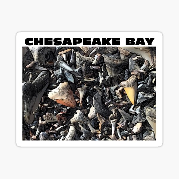 Vista previa del artículo con la obra «Dientes de tiburón de la bahía de Chesapeake», diseñado y vendido por baybranded.