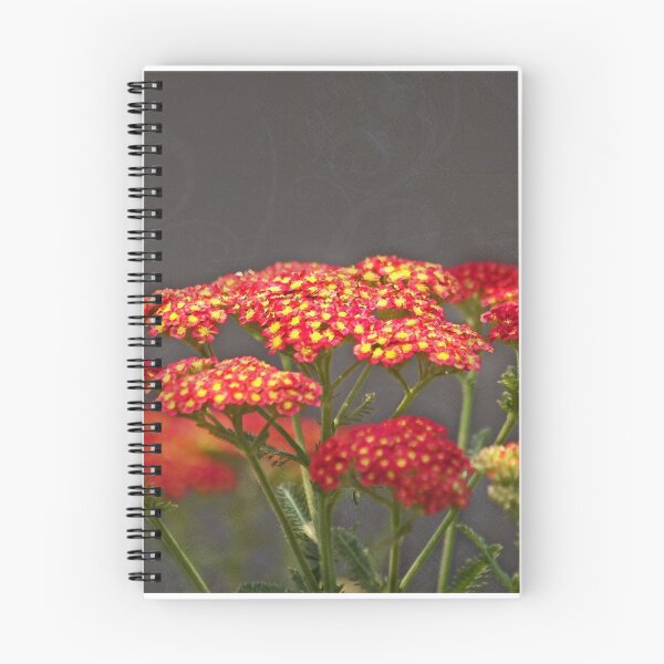 Item preview, Getting Through July designed and sold by Eileen McVey.