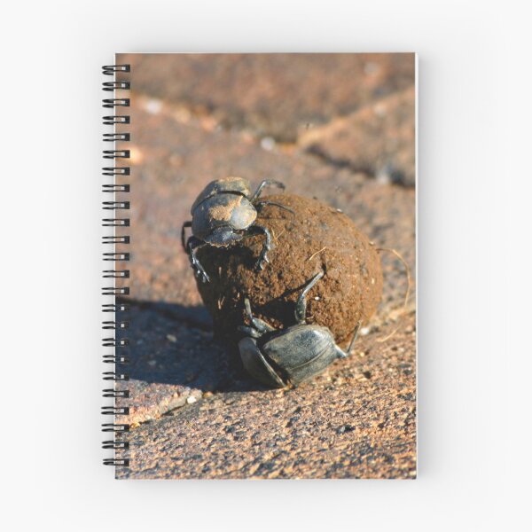 Item preview, African Dung Beetles at Work designed and sold by Totallyalive.