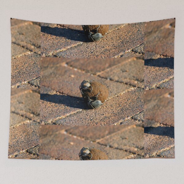 Item preview, African Dung Beetles at Work designed and sold by Totallyalive.