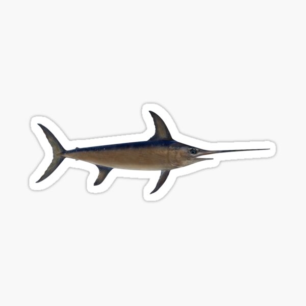 Swordfish Sticker